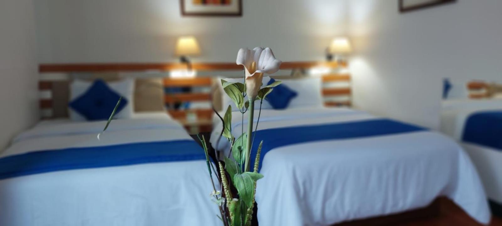 Blue Star Hotel Lima Luaran gambar